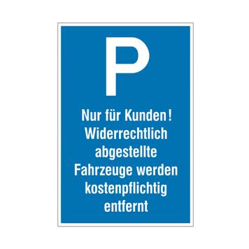 Parkeer- en stopverbod bord van aluminium