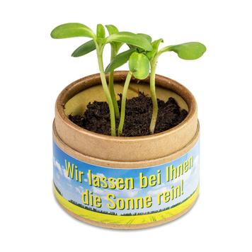 Planten-cup „Cup-U-Seed-O“ meit zaden